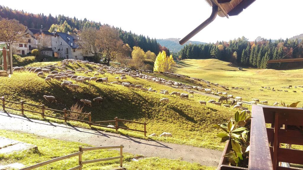 Casa Camilla Holiday Folgaria Eksteriør billede